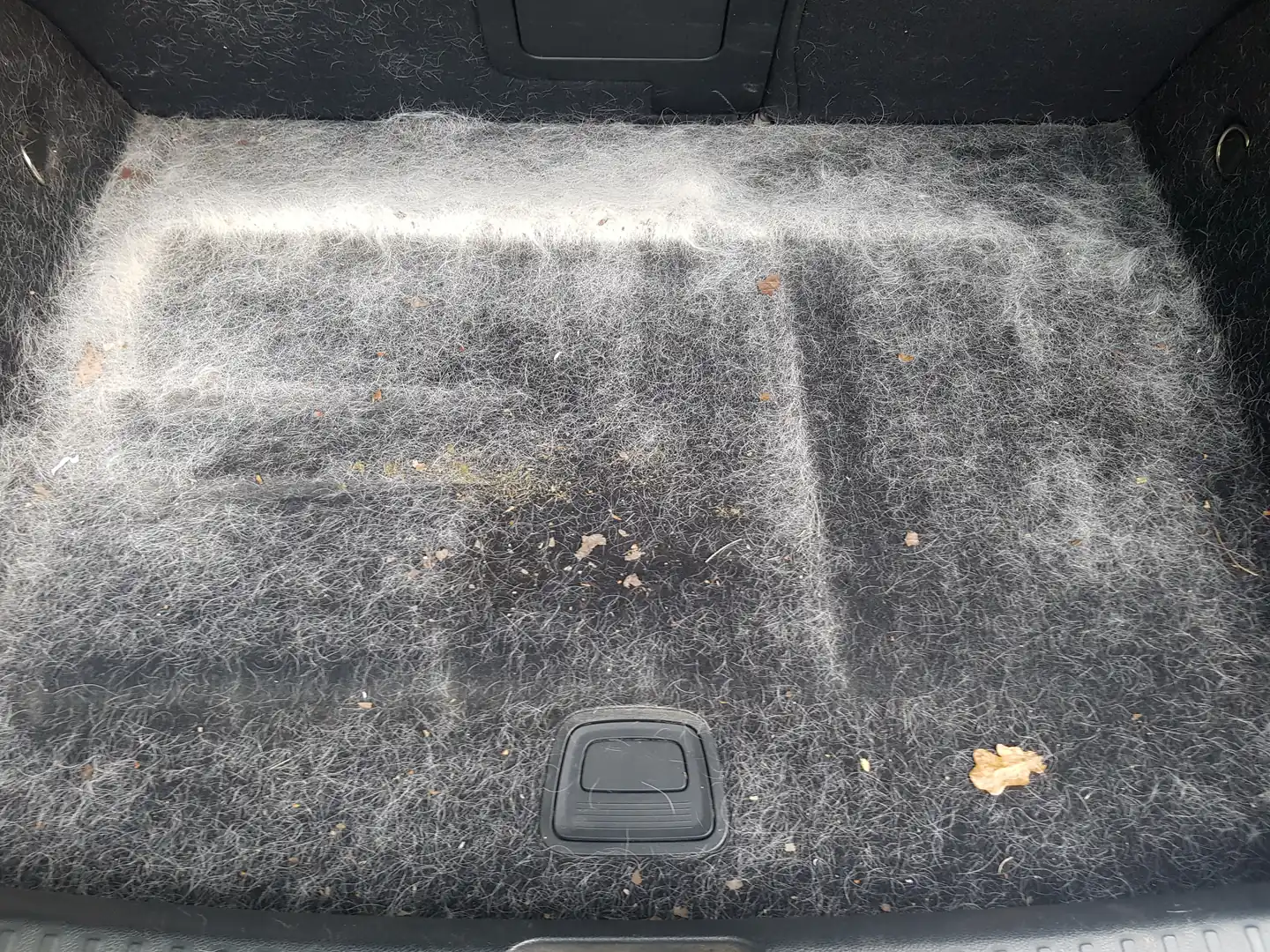 Boot carpet before cleaning